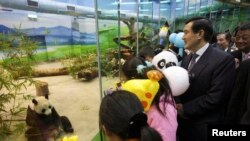 时任台湾总统马英九在台北市立动物园观看中国赠予的大熊猫“团团”和“圆圆”。(2009年1月24日)