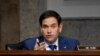 Senator Marko Rubio Qubad İbadoğlunun azad edilməsinə çağırıb