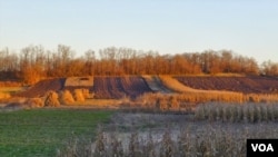 Cánh đồng ngô ở Ukraine.