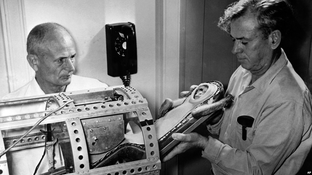 This NASA photo shows Dr. Hugh Blodgett (left) and Dr. Lynn Brown, both of the University of Texas, placing a monkey in a container during a pre-flight test. This actual launch was on December 4, 1959, at Wallops Island, Virginia. (AP Photo/NASA)