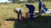 FILE: Bagebha amangcwaba abantu ababulawa yiGukurahundi.