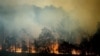 FILE - A bushfire burns in Bodalla, New South Wales, Australia, Jan. 25, 2020.