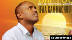 Ifaa Gammachuu