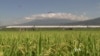 Japan, China in Race for Asia High-Speed Rail Projects