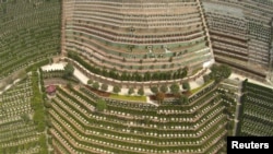 FILE - An aerial view of a public cemetery in Hangzhou, Zhejiang province, China, March 26, 2015. China has uncovered widespread corruption in its funeral services industry, state media said on Aug. 14, 2024.