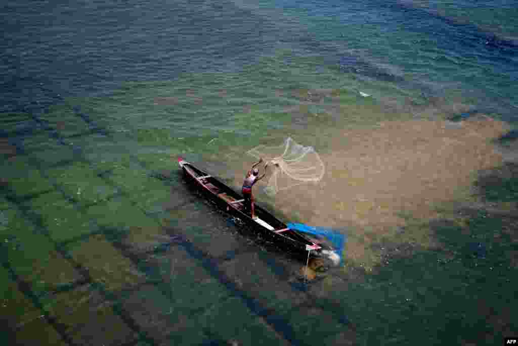 An Indian fisherman casts his net into the Mohanadi River near Munduli, some 30 kms away from Bhubaneswar. As the water level of the Mohanadi River and other rivers start to recede due to increasing temperatures, villagers living nearby turn to fishing to meet their consumption needs.