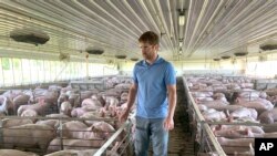 FILE - US farmer Matthew Keller walks through one of his pig barns near Kenyon, Minn. 