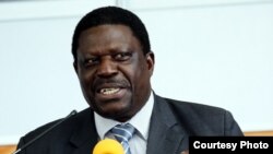 Murongi wemisangano muZanu PF, VaMike Bimha
