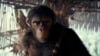 Kingdom of the Planet of the Apes