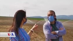 Akademîsyenên Berê Niha Cotkarî Dikin