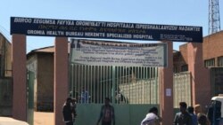 Hospitaalii Naqamtee horii ummatii baaseen haareffamee hujiitti jira