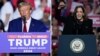 Trump Harris US Election 2024