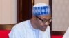 Na Ziyarci Shugaba Muhammad Buhari -Hadi Sirika