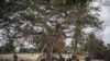 FILE - Residents gather for a meeting in the recently attacked village of Aldeia da Paz outside Macomia, northern Mozambique, Aug. 24, 2019. 