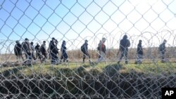 Des migrants marchent derrière une clôture de protection temporaire à la frontière entre la Hongrie et la Serbie près de Morahalom, au sud-est de Budapest, en Hongrie, le 22 février 2016. (Zoltan Gergely Kelemen/MTI via AP)