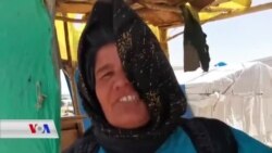 Hin Cotkarên Ereb li Deşta Enqerê Pêrîşan Bûne