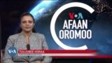 Tamsaasa Guyaadhaa Guyyaa