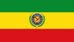 ፖለቲካና የደኅንነት ጉዳዮች - ክፍል ሁለት