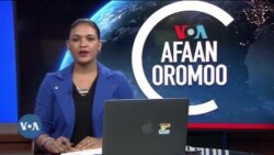 Tamsaasa Guyaadhaa Guyyaa