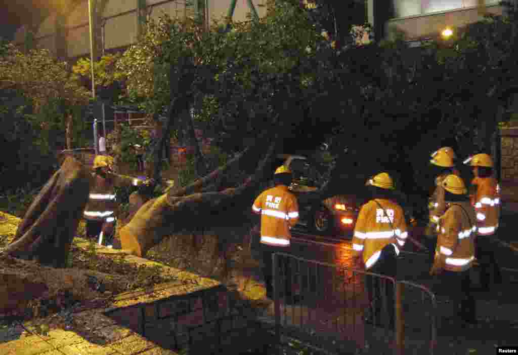 Firemen try to remove a tree that hit a car during a typhoon in Hong Kong's rural Taipo district, July 23, 2012.