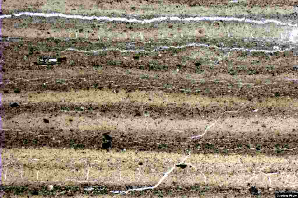 Suigestu sediments in natural light. (Credit: Gordon Schlolaut)