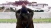 Whitewash: China Calls Invasion of Tibet ‘Peaceful Liberation’