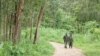 Un chef rebelle rwandais arrêté dans l'est de la RDC