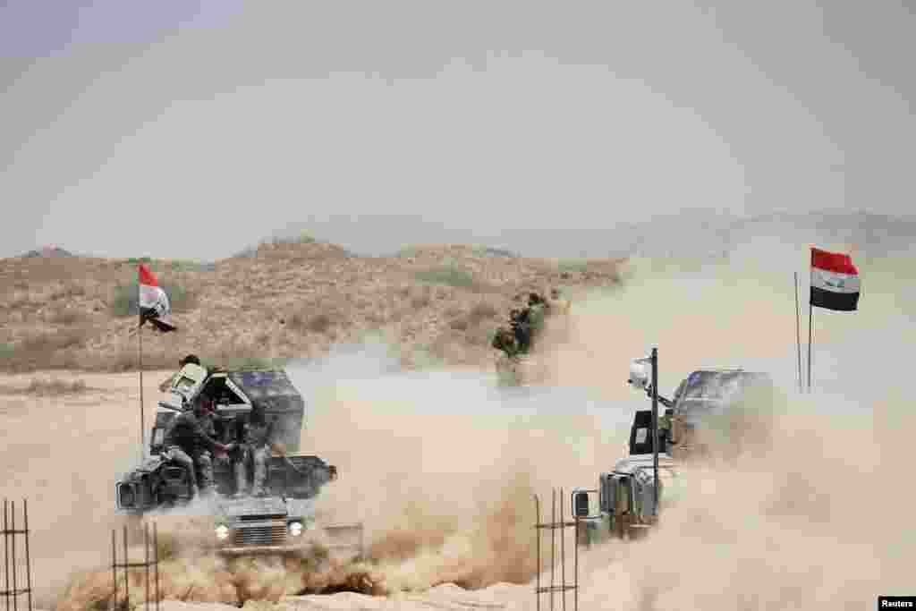 Iraqi federal police advance with Shi'ite fighters towards Falluja.