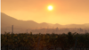 The sun rises over an abandoned vineyard in Sonoma County, California, Oct. 12, 2017, as wildfires continue to spread throughout the region.