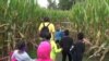 Farmers Diversify Businesses to Attract Tourists