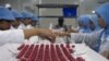 Indonesia Steps Up in COVID-19 Vaccine Race 