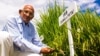 Indian Farmer Nekkanti Subba Rao