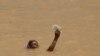 16x9 Image