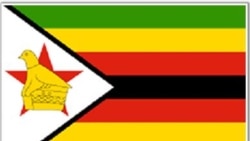 Analysts Say Lack of Leadership And Fear Stifling Change in Zimbabwe
