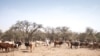 Au moins dix morts dans des combats entre éleveurs et cultivateurs au Tchad