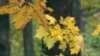 16x9 Image